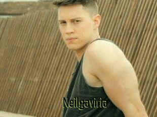 Neilgaviria