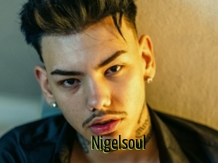 Nigelsoul