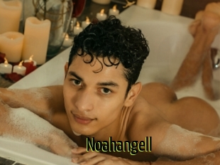 Noahangell