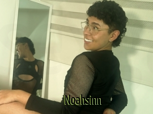 Noahsinn
