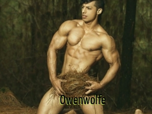 Owenwolfe