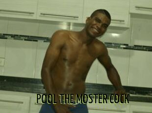 POOL_THE_MOSTER_COCK
