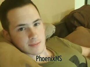 PhoenixMS