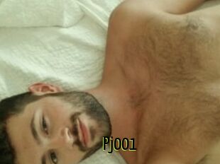 Pj001