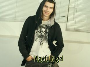 PlayfulNigel