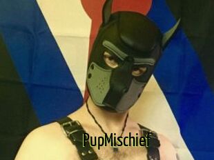 PupMischief