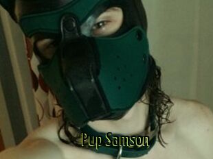 Pup_Samson