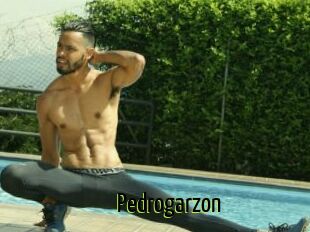 Pedrogarzon