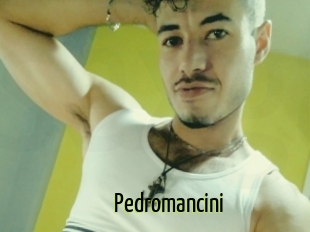 Pedromancini
