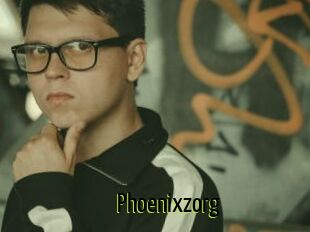 Phoenixzorg
