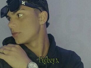 Pigboyx