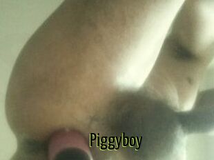 Piggyboy
