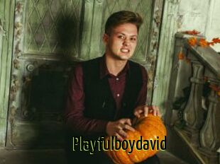 Playfulboydavid