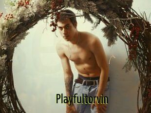 Playfultorvin