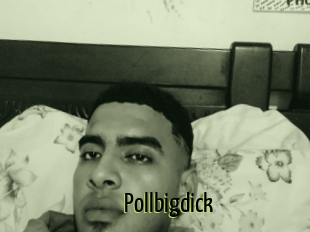 Pollbigdick