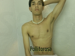 Pollitorosa
