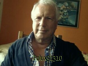 Polux91310