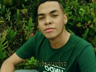 Prince_cobra