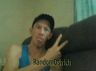RandomOstrich