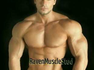 RavenMuscleStud