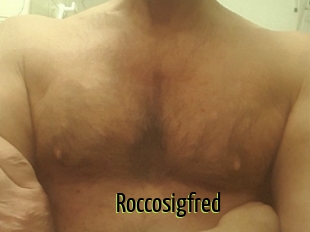 Roccosigfred