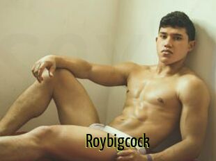 Roybigcock