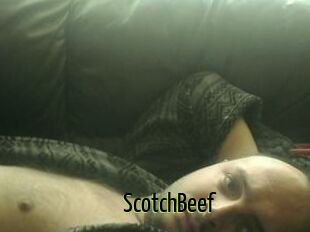 ScotchBeef