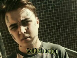 SelfDistruction
