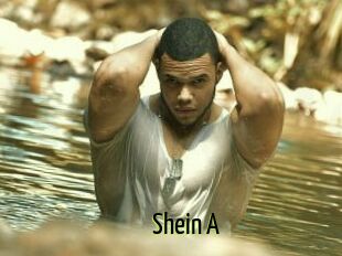 Shein_A