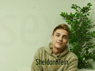 SheldonKlein
