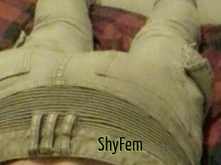 ShyFem