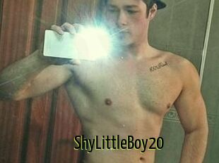 ShyLittleBoy20