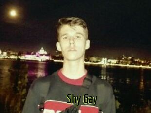 Shy_Gay