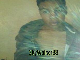 SkyWalker88