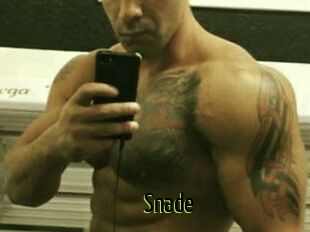 Snade