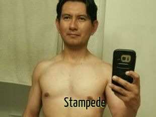 Stampede