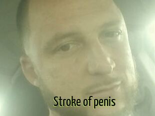 Stroke_of_penis