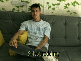 Salvatredelrey