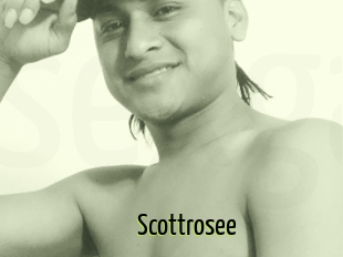 Scottrosee
