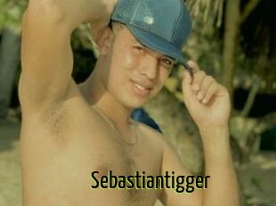 Sebastiantigger