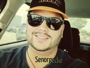 Senorgecko