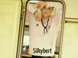 Silkybert