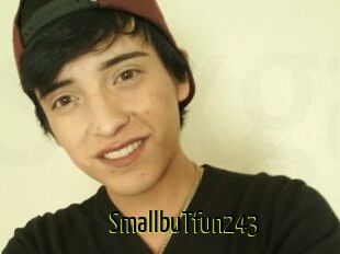 SmallbuTfun243