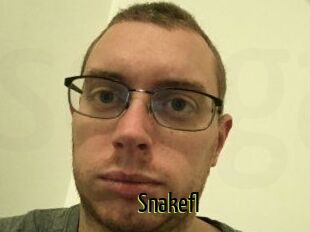 Snakefl