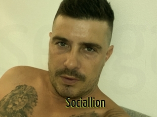 Sociallion
