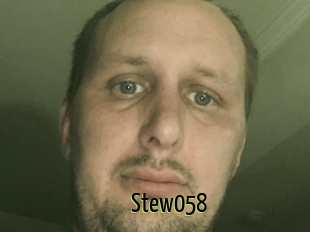 Stew058