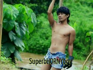 SuperbHORNYboy