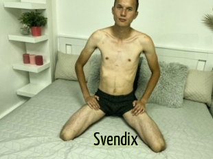 Svendix