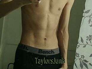 TaylorsJunk