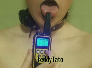 TeddyTato